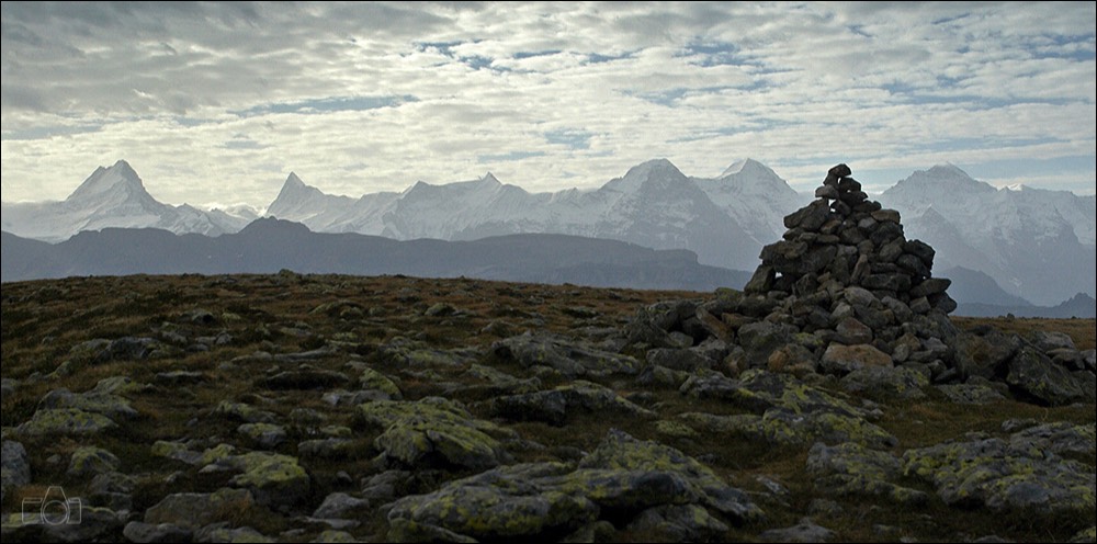 Stacks Image 525